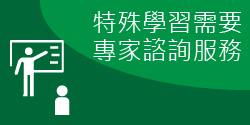 SEN Expert Consultation